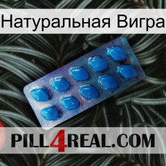 Натуральная Вигра viagra1